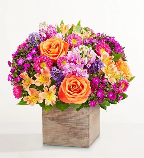 A crate of bright mixed blooms, sent without knowing their address